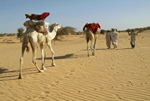 Images Dated 27th March 2006: Africa, Mauritania