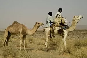 Images Dated 2nd April 2006: Africa, Mauritania