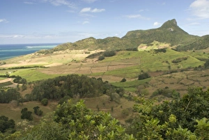 Images Dated 10th September 2007: Africa, Mauritius
