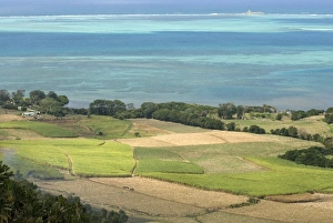 Images Dated 10th September 2007: Africa, Mauritius