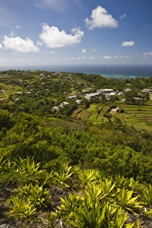 Images Dated 18th October 2008: Africa, Mauritius