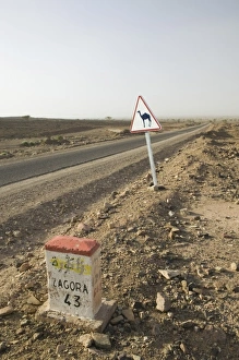 Images Dated 16th March 2006: Africa, Morocco