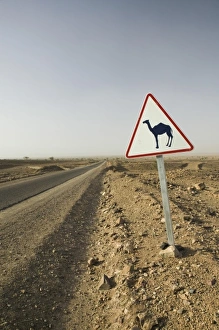 Images Dated 16th March 2006: Africa, Morocco