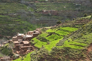 Images Dated 20th March 2006: Africa, Morocco