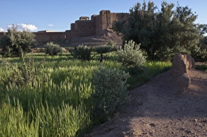 Images Dated 1st April 2009: Africa, Morocco