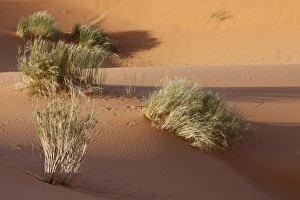 Africa, Morocco