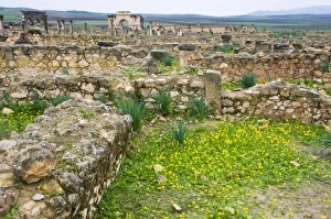 Images Dated 28th October 2008: Africa, Morocco