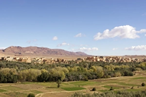 Images Dated 2nd December 2008: Africa, Morocco