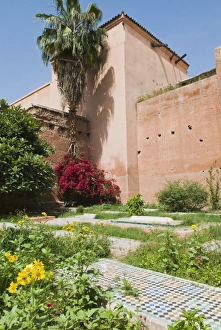 Images Dated 18th November 2011: Africa, Morocco