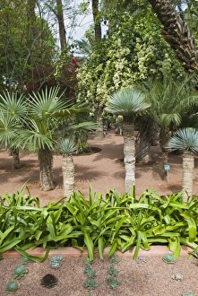 Images Dated 18th November 2011: Africa, Morocco