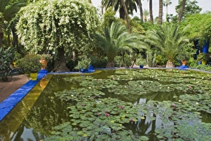 Africa, Morocco