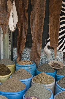 Images Dated 9th June 2009: Africa, Morocco