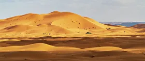 Erg Chebbi Prints: Africa, Morocco, Erg Chebbi. Panoramic of desert landscape