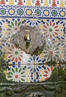 Africa, Morocco, Essaouira. Algae around wall faucet