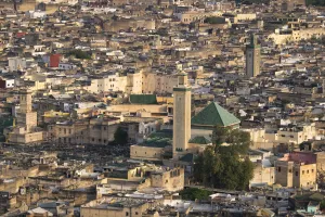 Minaret Prints: Africa, Morocco, Fes. Detail of the city from above at the Tombs du Merenides