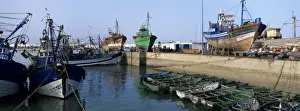 Medina Prints: Africa, Morocco, Morning sun lights shipping dock outside old medina in city of Essaouira
