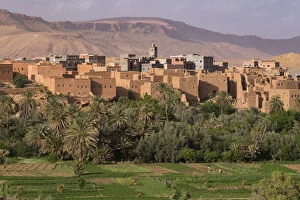 Morocco Collection: Africa, Morocco. The oasis behind the village of Tinerhir is a rich farming area