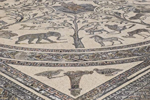 Morocco Collection: Africa, Morocco, detail of a preserved mosaic tile floor in Volubilis, a large compound