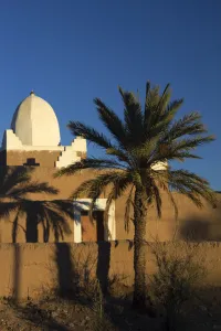 Images Dated 3rd April 2014: Africa, Morocco, Skoura. White trim kasbah of Skoura