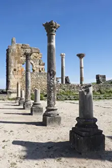 Morocco Prints: Africa, Morocco. Stone columns and remnants of an arch at the roman ruins of Volubilis