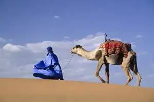 Images Dated 25th November 2012: Africa, Morocco, Tinfou (near Zagora) Man in traditional dress leading camel on sand dunes