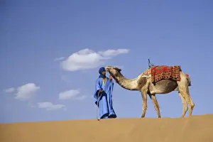 Robe Prints: Africa, Morocco, Tinfou (near Zagora) Man in traditional dress leading camel on sand dunes