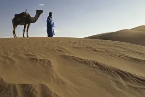 Images Dated 25th November 2012: Africa, Morocco, Tinfou (near Zagora) Man in traditional dress leading camel on sand dunes