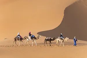 Sahara Prints: Africa, Morocco. Tourists ride camels in Erg Chebbi in the Sahara desert