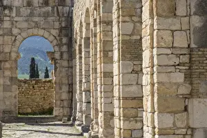 Egypt Prints: Africa, Morocco, Volubilis. Archeological site of ancient Roman ruins