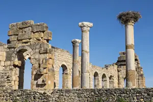 Africa, Morocco, Volubilis. AN archeological site of Roman ruins