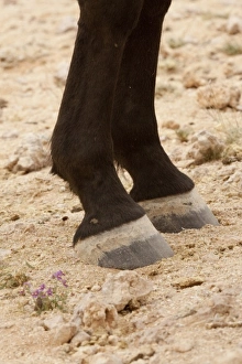Africa, Namibia
