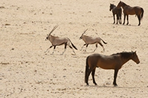Africa, Namibia