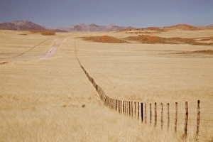Images Dated 8th September 2009: Africa, Namibia