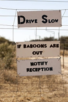 Images Dated 3rd June 2011: Africa, Namibia
