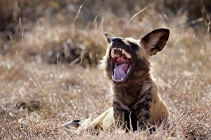 Africa, Namibia