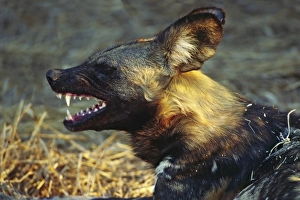 Africa, Namibia