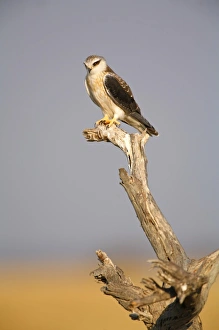 Africa, Namibia