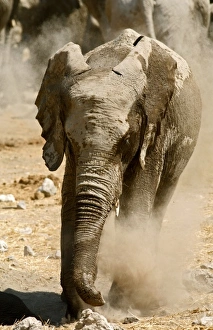 Africa, Namibia