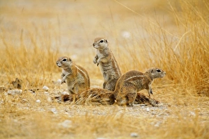 Africa, Namibia