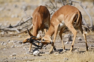 Africa, Namibia