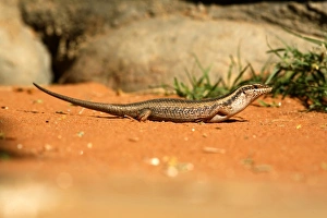 Africa, Namibia