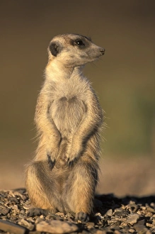 Africa, Namibia