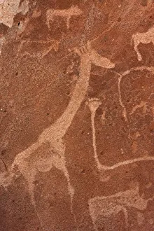 Namibia Prints: Africa, Namibia, Damaraland, Twyfelfontein. Close-up of rock engravings or petroglyphs