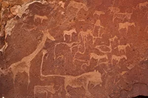 Namibia Gallery: Africa, Namibia, Damaraland, Twyfelfontein. Close-up of rock engravings or petroglyphs