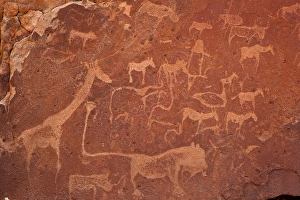 Namibia Collection: Africa, Namibia, Damaraland, Twyfelfontein. Close-up of rock engravings or petroglyphs