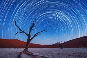Dead Prints: Africa, Namibia, Deadvlei. Dead tree sand dunes and star trails