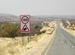 Images Dated 2nd September 2014: Africa, Namibia, Etosha National Park. Speed limit and elephant caution sign. Credit as