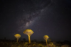Barren Prints: Africa, Namibia, Keetmanshoop. Milky Way over the Quiver tree Forest