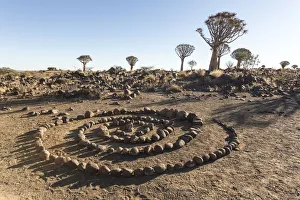 Spiral Prints: Africa, Namibia, Keetmanshoop. Rock spiral and Quivertree Forest