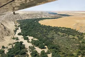 Airplane Prints: Africa, Namibia, Namib Desert. Aerial view of the Kuisib Riverbed